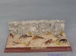 28th_C-E_2009