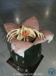 31st_2012_149