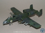 31st_2012_252