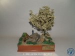 31st_2012_319