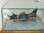 31st_2012_33