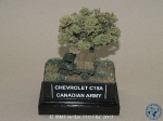 31st_2012_384